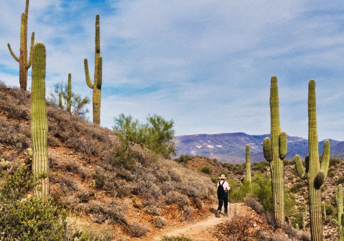 Exploring the Best Outdoor Activities and Attractions near Brewing Companies in Maricopa County, Arizona